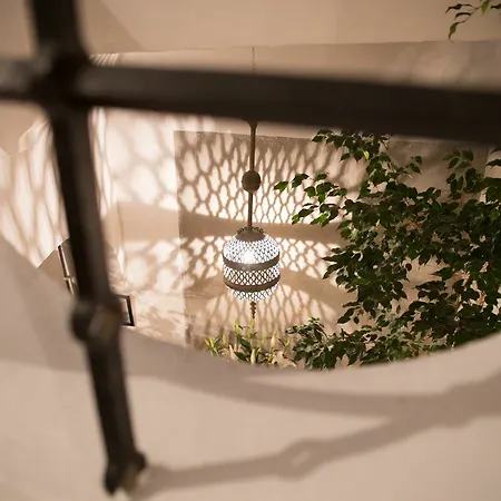 Koala מלון טריפה